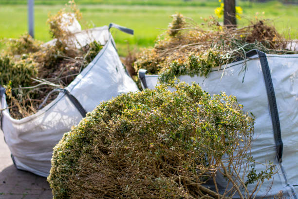 Best Demolition Debris Removal  in Pima, AZ